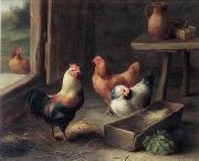 unknow artist poultry  161 painting